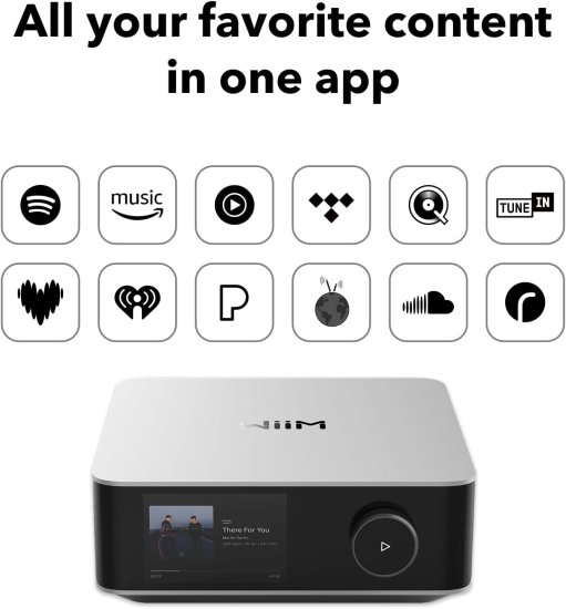 מגבר סטריאו חכם WiiM Amp Ultra - צבע כסוף – תמונה 3