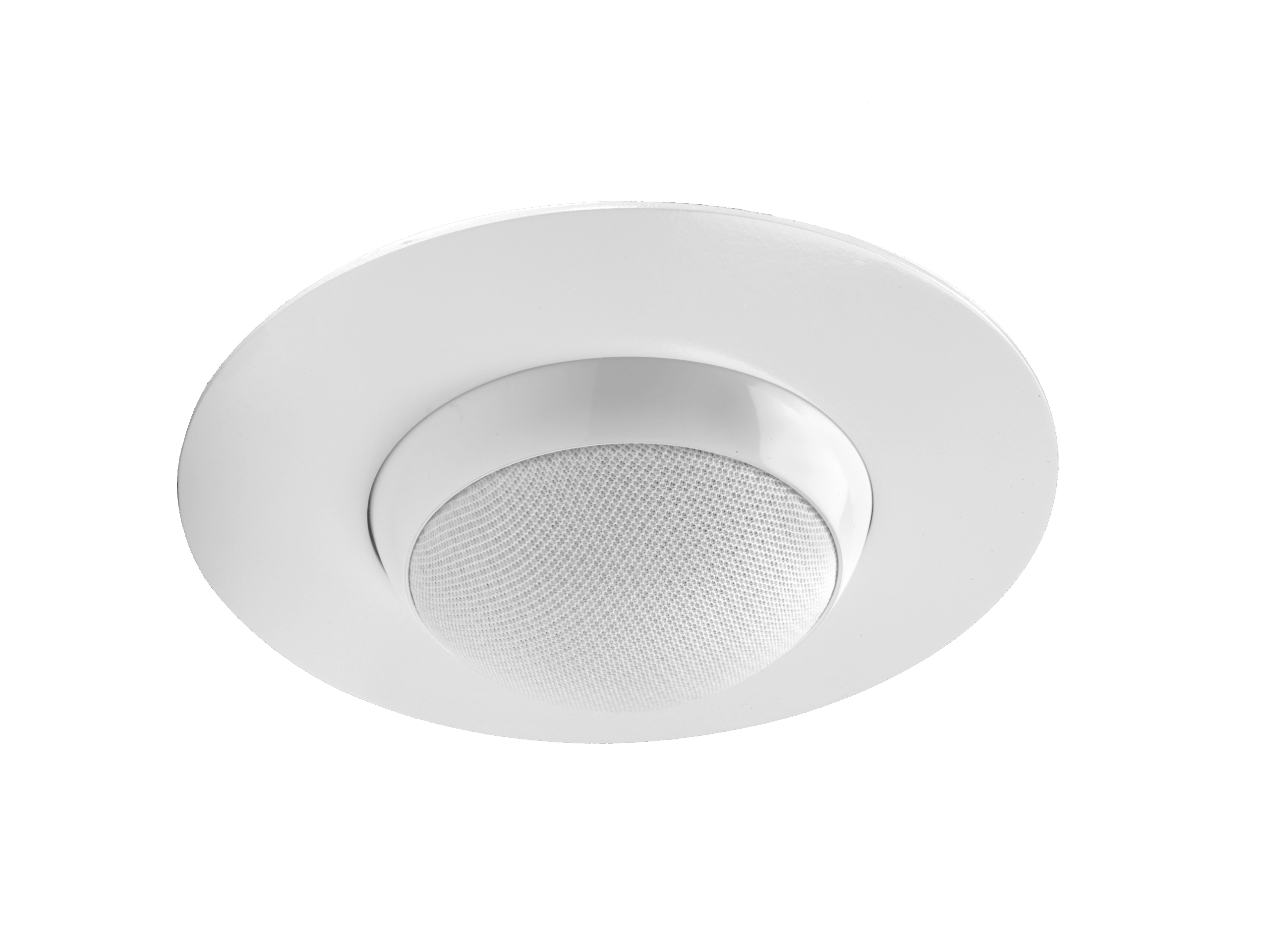CABASSE ALCYONE 2 satellite רמקול